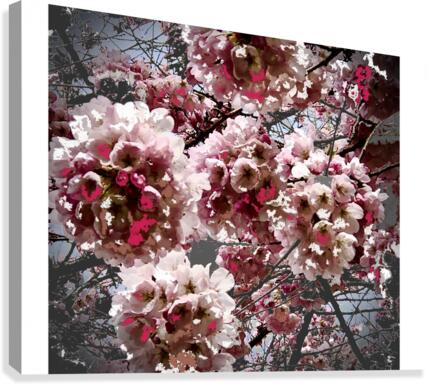 Full Bloom Canvas Print