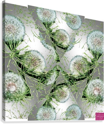 Dandelion Pattern 1 Canvas Print