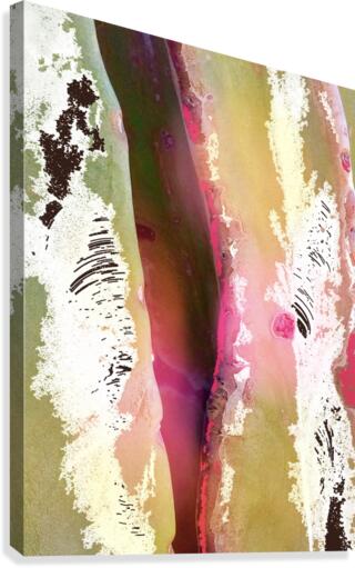 Cactus Texture Canvas Print