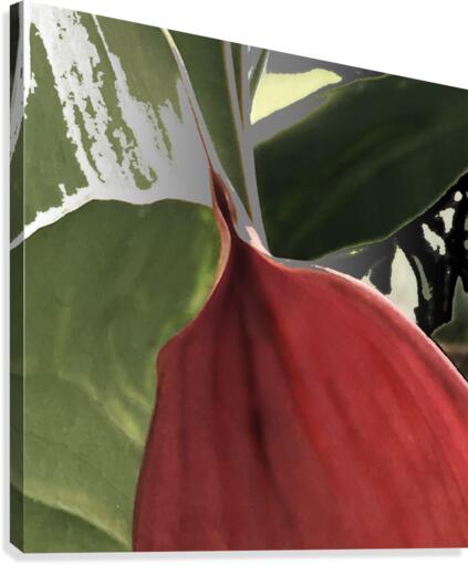 Tropical Red Canvas Print