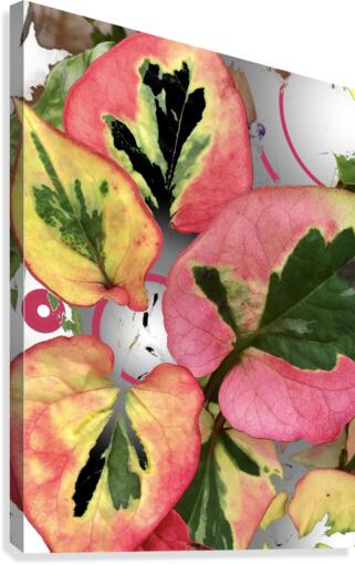 Abstract Leaf Patterns 200729 Canvas Print