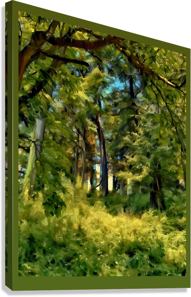 Take a Walk Canvas Print