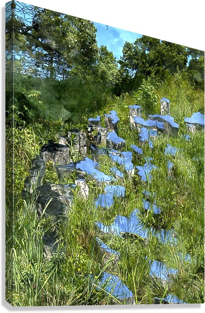 Reflection  Canvas Print