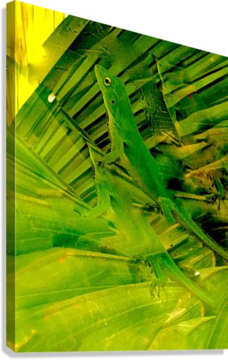 Seeing Double Canvas Print