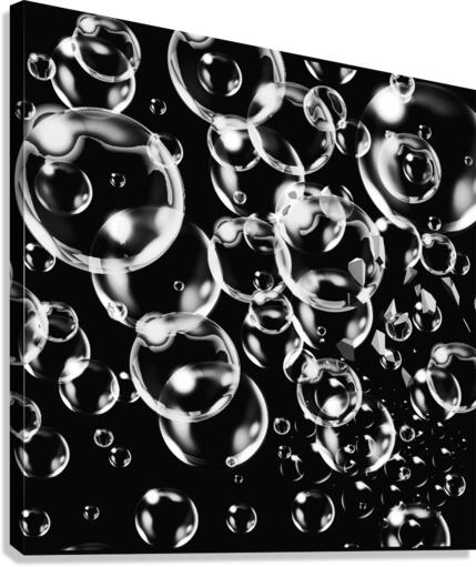 Version 2 Canvas Print