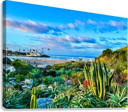 Del Mar Canvas Print