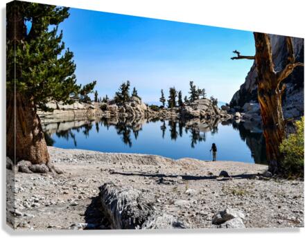 whitney Canvas Print