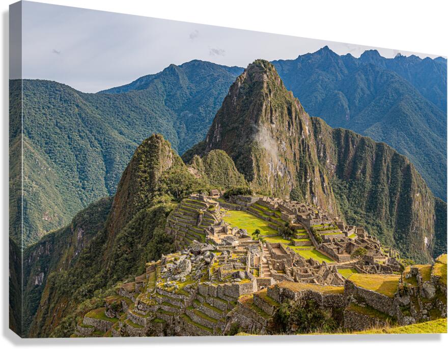 DSC 5025 Canvas Print