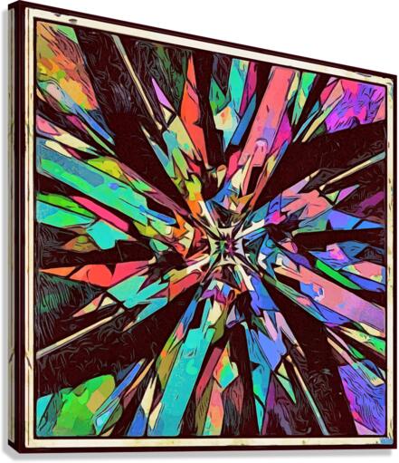 EVOLVE Canvas Print