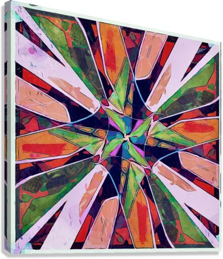 APOLOGY Canvas Print