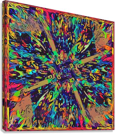 CURIO  Canvas Print