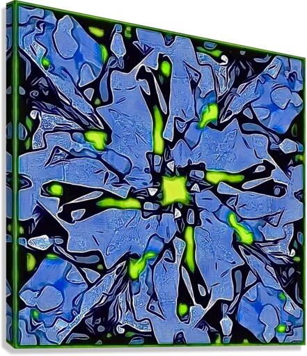 EVASIVE Canvas Print