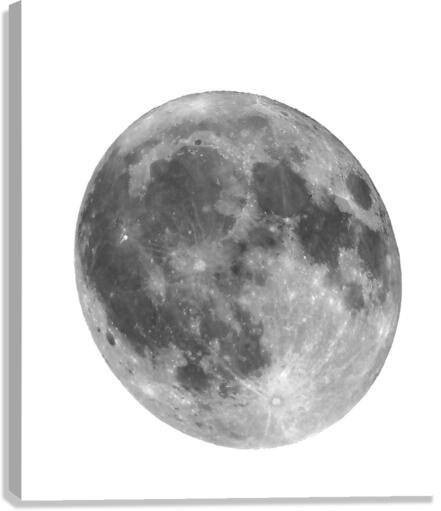 Full moon Canvas Print