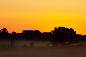 Grassland Sunrise 3