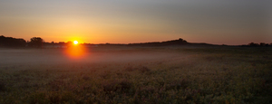Scenic Grassland Sunrise