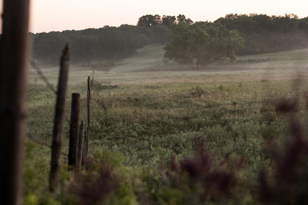 Foggy Fenceline by unspoken adventures