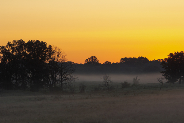 Grassland Sunrise 2 by unspoken adventures