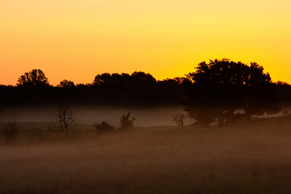 Grassland Sunrise 1 by unspoken adventures