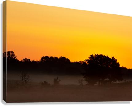 Grassland Sunrise 3 Canvas Print