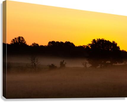 Grassland Sunrise 1 Canvas Print