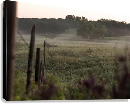 Foggy Fenceline Canvas Print