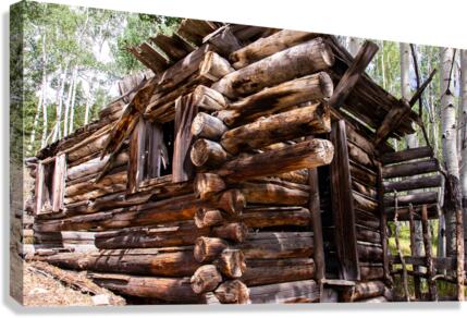 Log Cabin Canvas Print