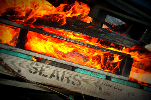 IMG 2994 Sears No More