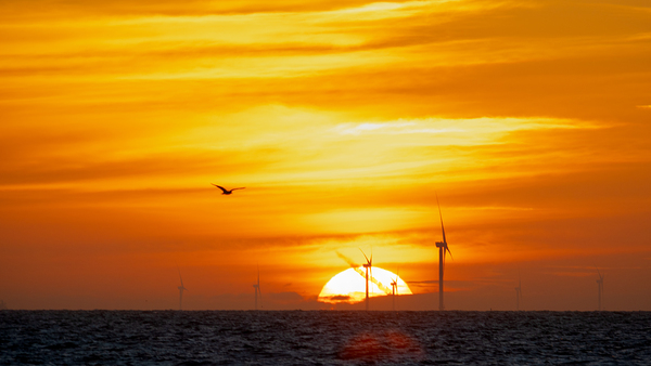 Natures Energy Sun Wind Tidal by Troy Hunter