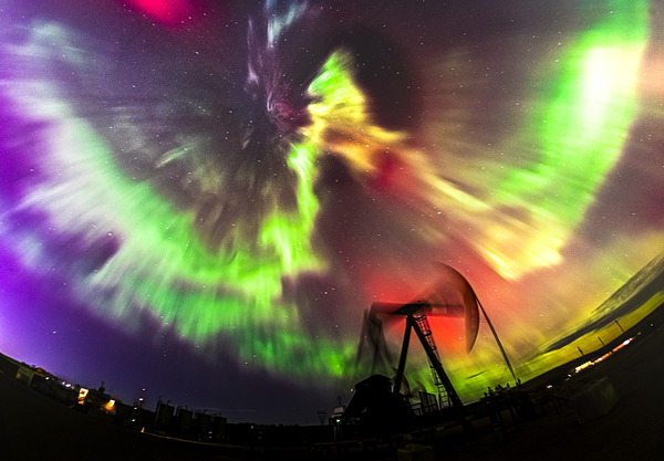 Phoenix by Troy Hunter