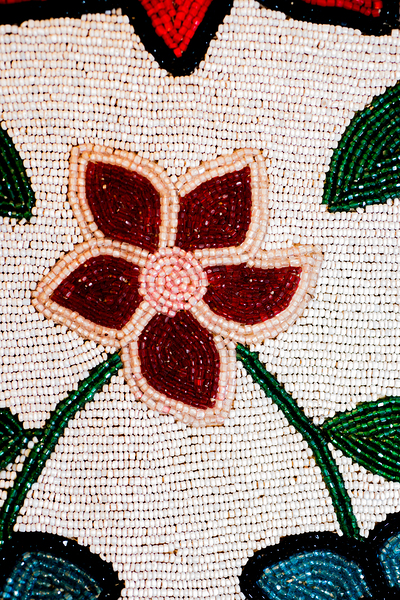 DSC 0860 Rose Garden by Troy Hunter