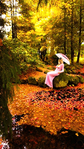 Autumn at the Friendship Garden by Troy Hunter