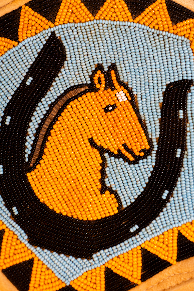 DSC 0853 Lucky Horseshoe by Troy Hunter