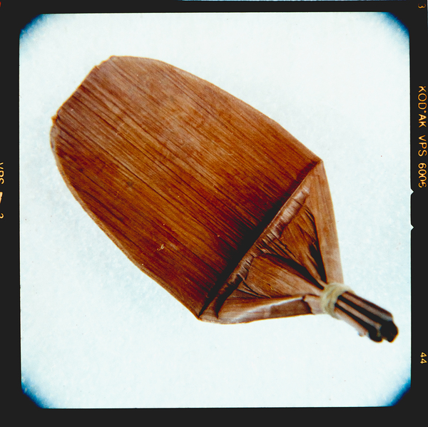 DSC 0389 by Troy Hunter