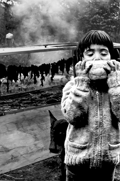 Making Dried Meat with Dingo and James eating Wat by Troy Hunter