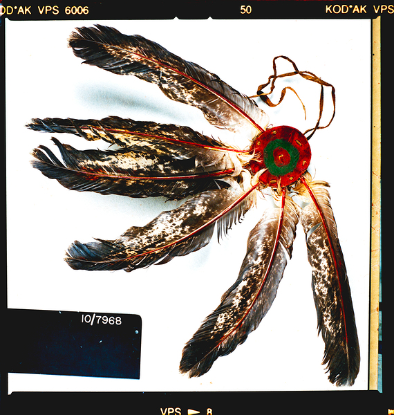 DSC 0552 Eagle Feathers Ornament by Troy Hunter