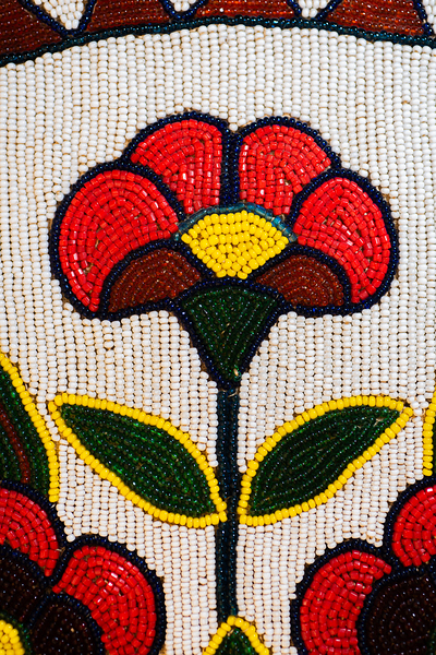 DSC 0857 Wild Rose by Troy Hunter