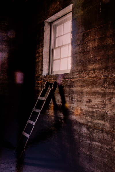 DSC 1145 The Way Out by Troy Hunter