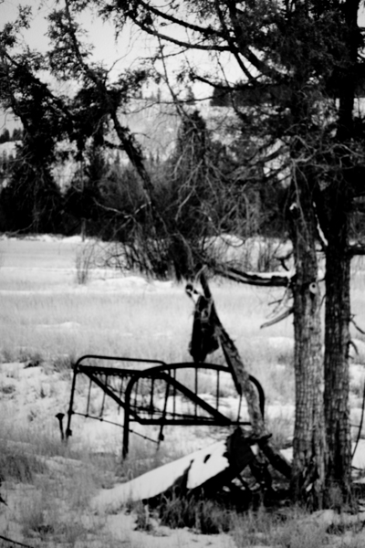 DSC 1170 Old Residential School Bed Frame for Drying Meat by Troy Hunter