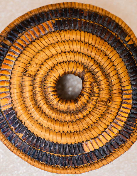 DSC 0881 Split Cedar Root Basket Lid with Motif by Troy Hunter
