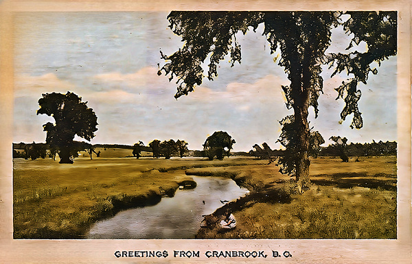Historic Post Card of Josephs Prairie scan by TDH by Troy Hunter
