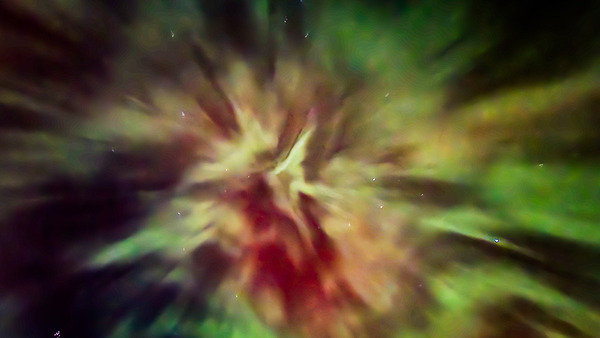 The Universe is Alive by Troy Hunter