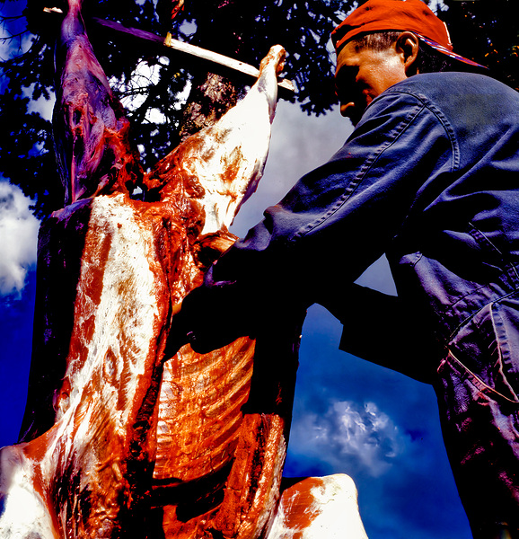 Ktunaxa Man Dressing an Elk by Troy Hunter