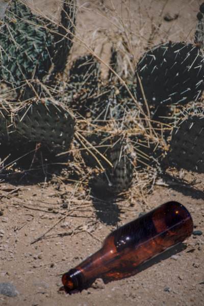 DSC 1186 Hot and Dry by Troy Hunter