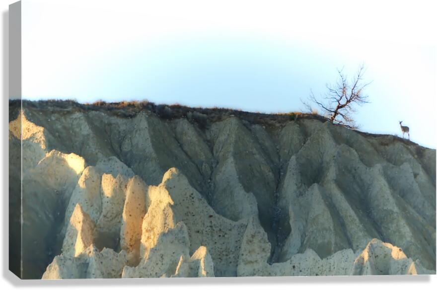 Deer on Hoodoos at Aqam Canvas Print