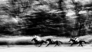 COURSE DE CHEVAUX