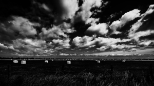 EXPANSE