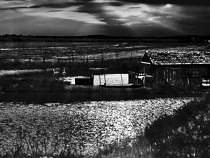 DRAMATIC LANDSCAPE SCENE