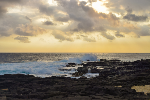 HAWAII 120 by Jen Lynnd Gallery