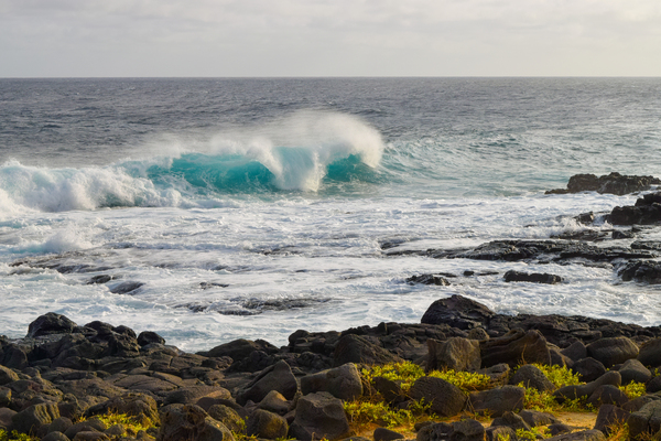 HAWAII 121 by Jen Lynnd Gallery