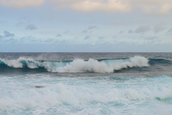 HAWAII 124 by Jen Lynnd Gallery